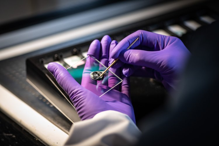 Countering the Invisible: Optical Engineering for Laser Threat Detection and Protection