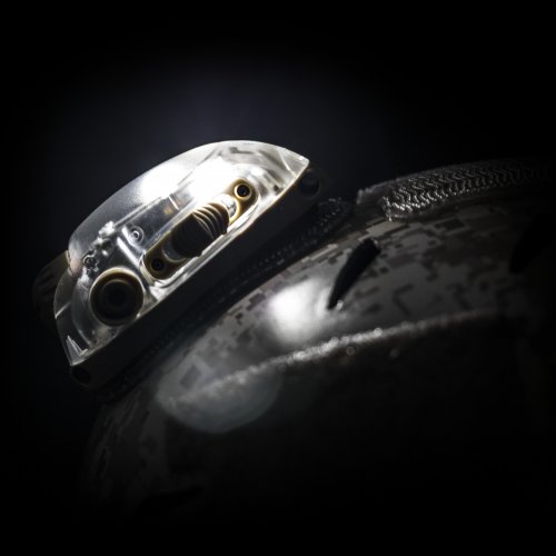 trilobyte-on-helmet
