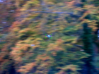 Integrating Sensing, Processing and Precision in Modern Land Operations