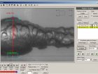 Forensic Weapon Testing and Analysis - Measurement