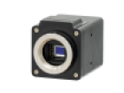 Hawk 216 - Ultra Sensitive Analogue EMCCD Camera