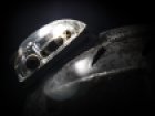 trilobyte-on-helmet