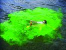 Dye’ another day with shark repellent and sea marker