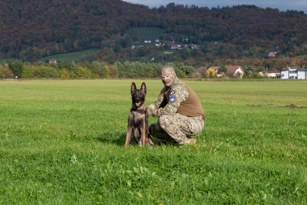 Identifying radiological sources in one wag of a tail