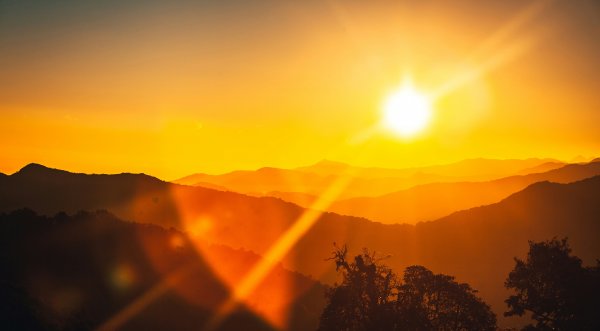 A Look Back at 2025 and Ahead to 2026