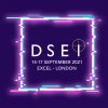 DSEI 2021 Logo