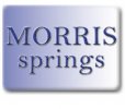 Morris Springs Logo