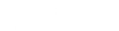 Critical Solutions International (CSI) Logo