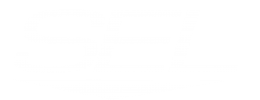 Stonehaven Engineering Ltd Logo