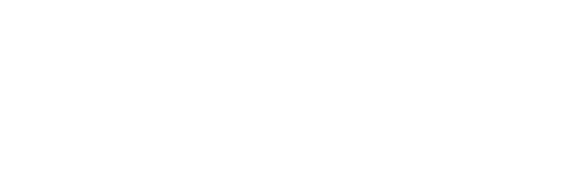ST Engineering  Logo