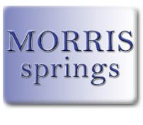 Morris Springs